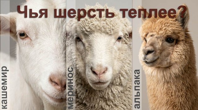 Тепло, легкость и стиль: шерсть в зимнем гардеробе Тепло, легкость и стиль: шерсть в зимнем гардеробе